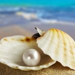 perla ostrica